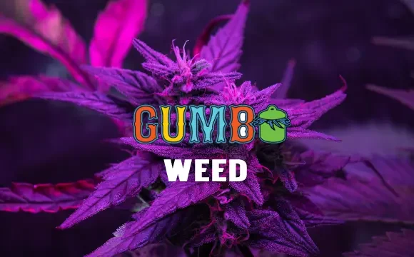 Gumbo weed